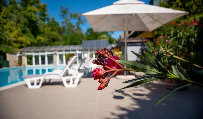 Nyerges Hotel Term�l Monor - Kedvezm�nyes �r csal�dok r�sz�re reggelivel (1 �jt�l)