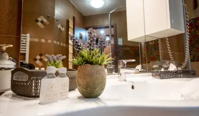 Nyerges Hotel Term�l Monor