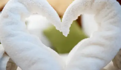 Nyerges Hotel Term�l Monor