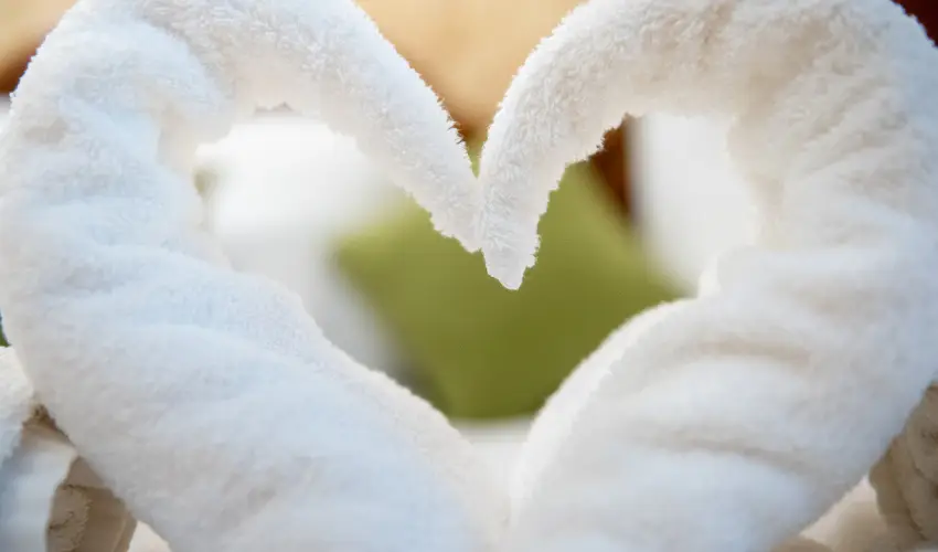 Nyerges Hotel Term�l Monor - Kedvezm�nyes �r csal�dok r�sz�re reggelivel (1 �jt�l)