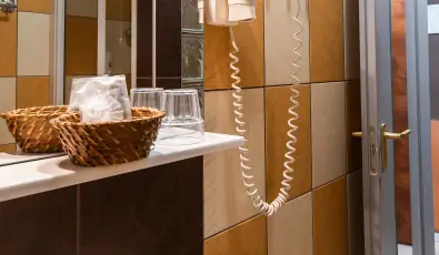 Nyerges Hotel Term�l Monor