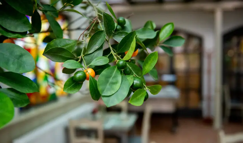 Nyerges Hotel Term�l Monor - Kedvezm�nyes �r csal�dok r�sz�re reggelivel (1 �jt�l)