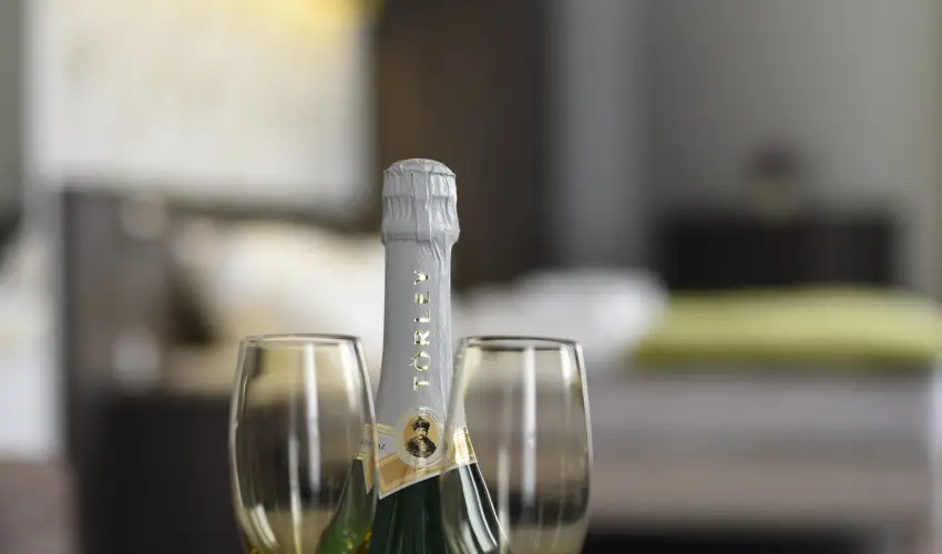 O�zis Wellness Panzi� Szigetszentmikl�s - Alap �rak reggelis ell�t�ssal (1 �jt�l)