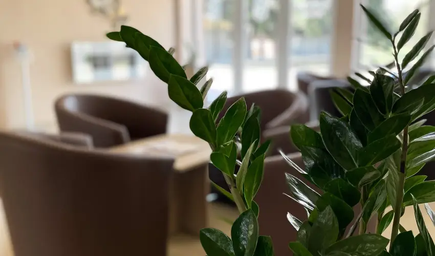 �reg-t� Hotel Tata - Kedvezm�nyes �r csal�dok r�sz�reak reggelis ell�t�ssal (1 �jt�l)