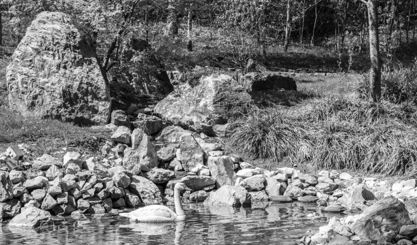 Oxigén Family Hotel Noszvaj - Pünkösd (min. 2 éj)