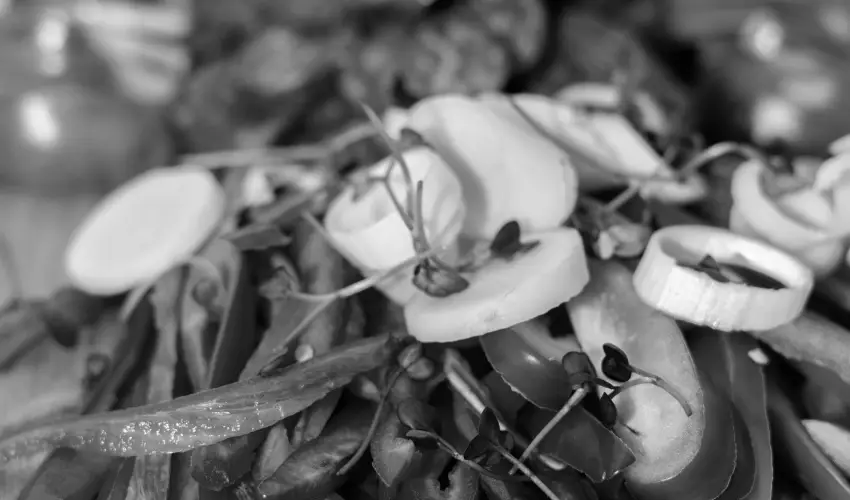 Oxigén Family Hotel Noszvaj - Pünkösd (min. 2 éj)