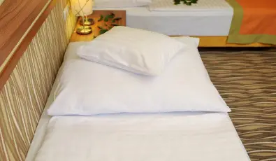 Park Hotel Gyula Gyula