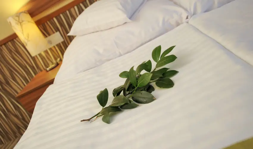 Park Hotel Gyula Gyula - Tli sznet 2026 (min. 2 j)