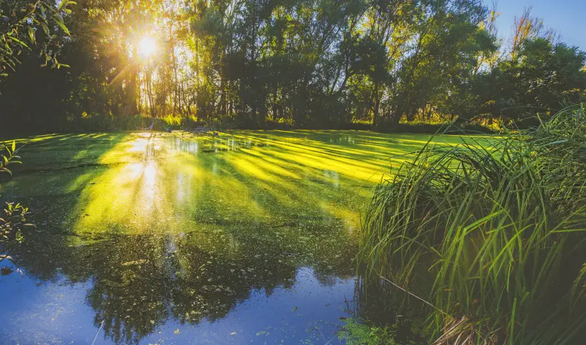 Park Inn by Radisson Zalakaros Resort & Spa Zalakaros - Park Inn All Inclusive (1 jtl)