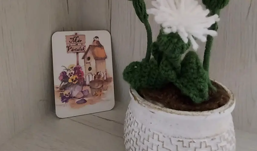 Pitypang Apartman Eger - Kedvezményes ár családok részéreak önellátással (1 éjtől)