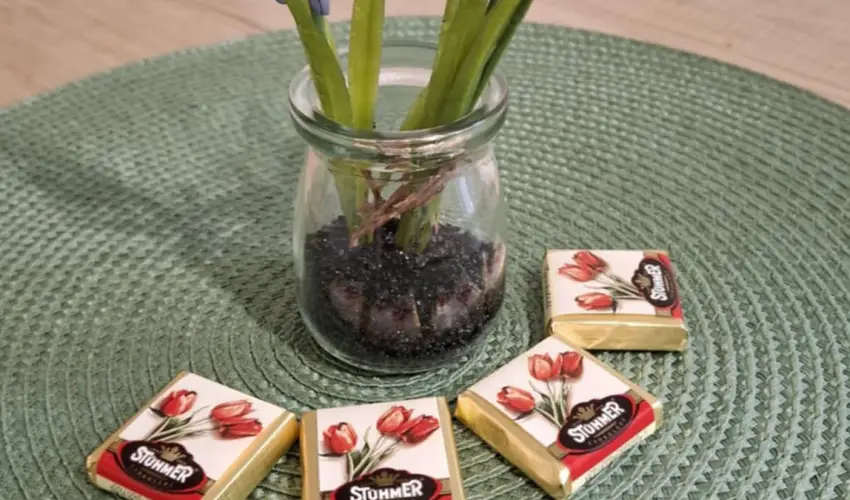 Pitypang Apartman Eger - Kedvezményes ár családok részéreak önellátással (1 éjtől)