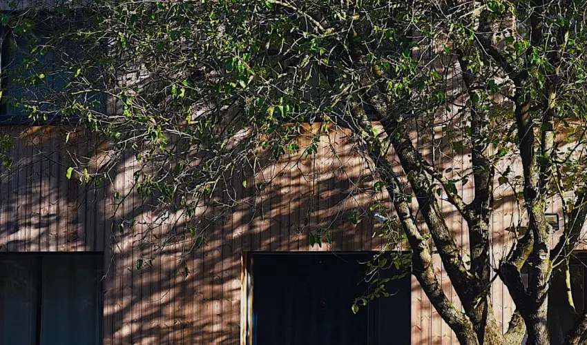 reBORONA Vendghz rsg riszentpter - Kedvezmnyes r csaldok rszreak (1 jtl)