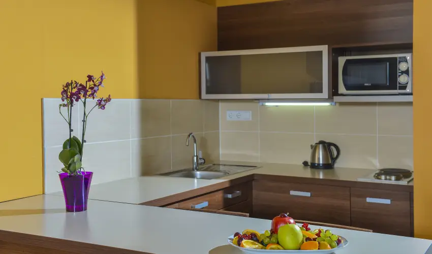 Royal Club Hotel Visegrd - Kedvezmnyes r csaldok rszre flpanzival (1 jtl)