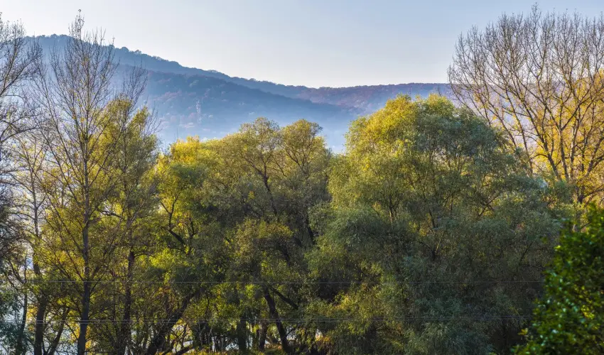 Royal Club Hotel Visegrd - Kedvezmnyes r csaldok rszre flpanzival (1 jtl)