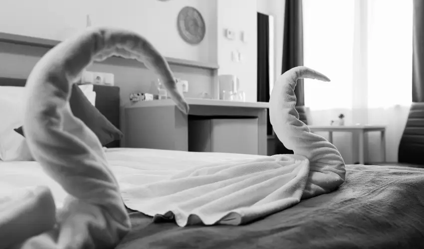 Safari Hotel Szeged - Kedvezmnyes r csaldok rszre reggelivel (1 jtl)