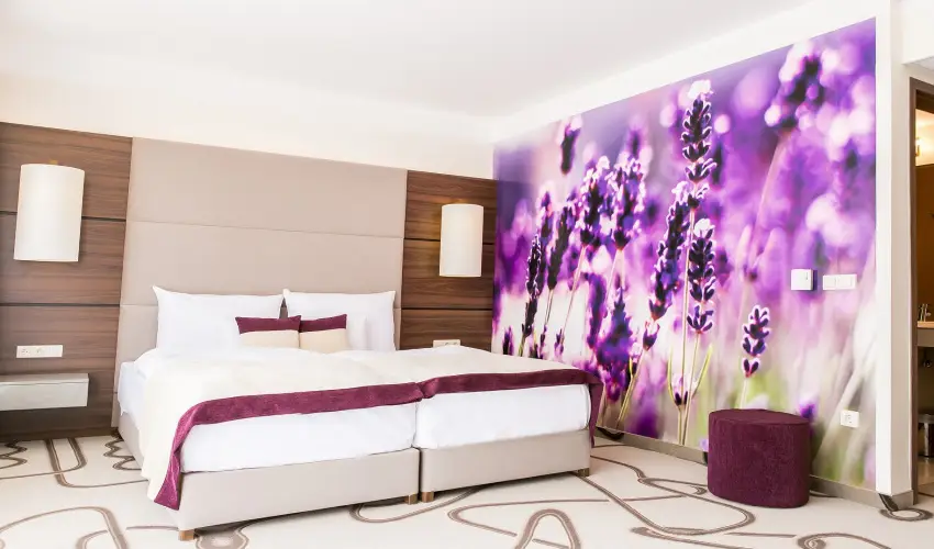 Ambient Hotel & ThermalSPA**** Sikonda - Kedvezm�nyes �r f�lpanzi�val (min. 2 �j)