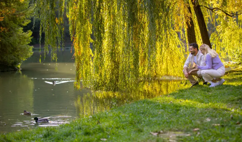 Ambient Hotel & ThermalSPA**** Sikonda - Kedvezm�nyes �r f�lpanzi�val (min. 2 �j)