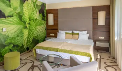 Ambient Hotel & ThermalSPA**** Sikonda