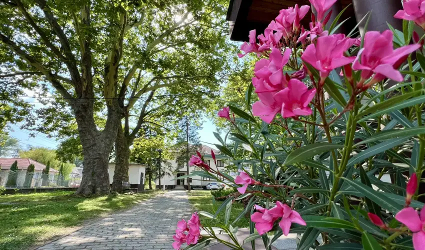 Sir�ly Hotel Balatonlelle - Kedvezm�nyes �r csal�dok r�sz�reak reggelivel (1 �jt�l)