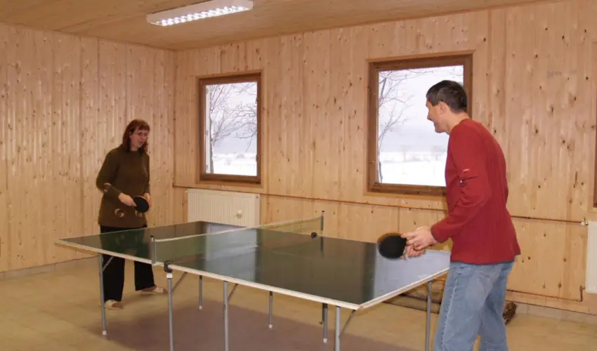 Sokor Fogad Sokorptka - Diszntoros htvge (min. 2 j)