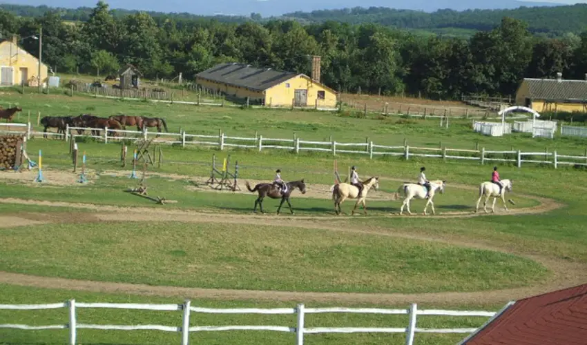 Sokor Fogad Sokorptka - Diszntoros htvge (min. 2 j)