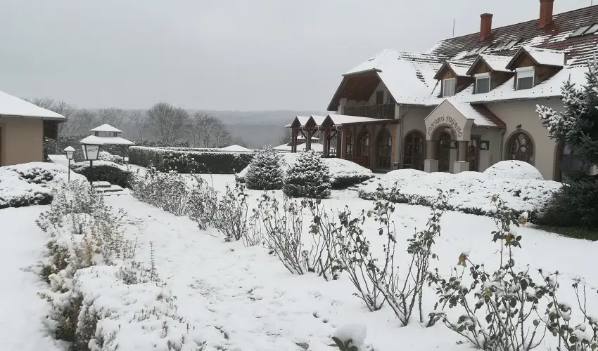 Sokor Fogad Sokorptka - Diszntoros htvge (min. 2 j)