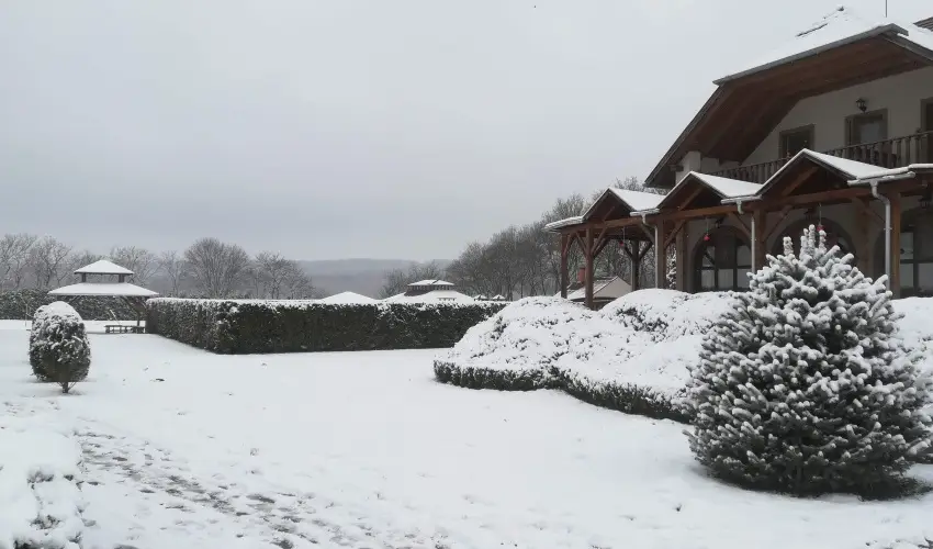 Sokor Fogad Sokorptka - Diszntoros htvge (min. 2 j)