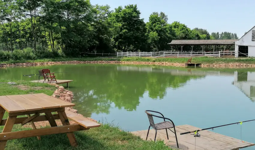 Sokor Fogad Sokorptka - Diszntoros htvge (min. 2 j)