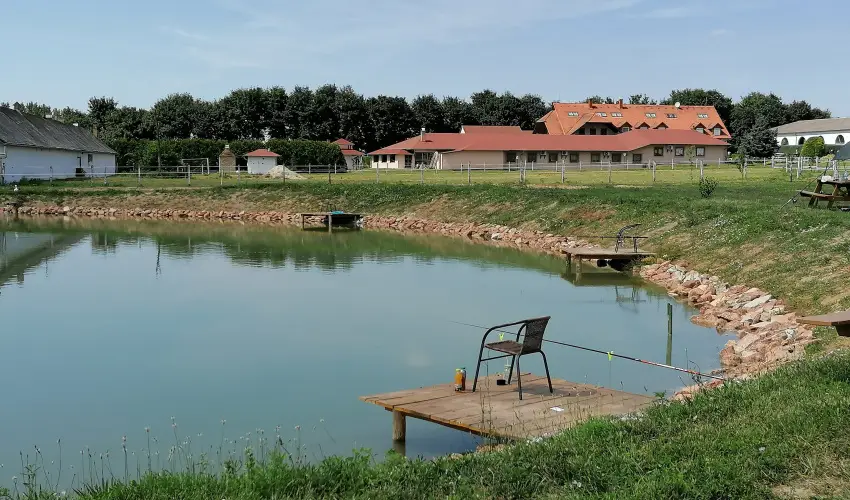 Sokor Fogad Sokorptka - Diszntoros htvge (min. 2 j)