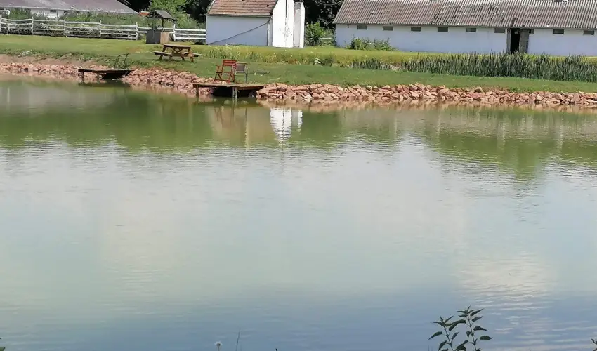 Sokor Fogad Sokorptka - Diszntoros htvge (min. 2 j)