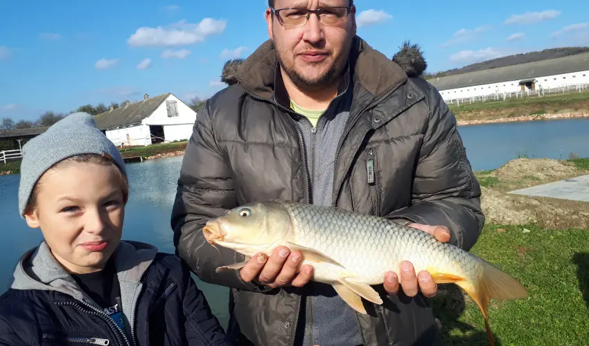 Sokor Fogad Sokorptka - Diszntoros htvge (min. 2 j)