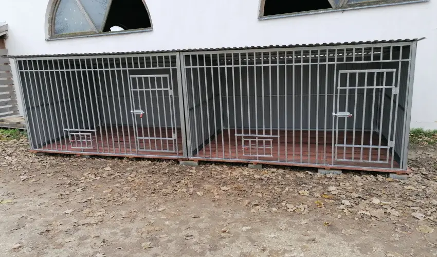 Sokor Fogad Sokorptka - Diszntoros htvge (min. 2 j)