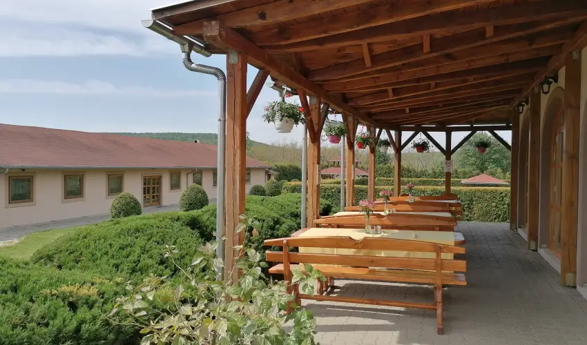 Sokor Fogad Sokorptka - Diszntoros htvge (min. 2 j)