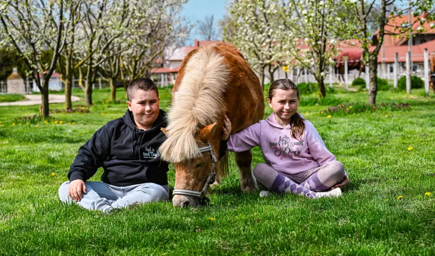 Sokor� Fogad� Sokor�p�tka - M�jus 1.