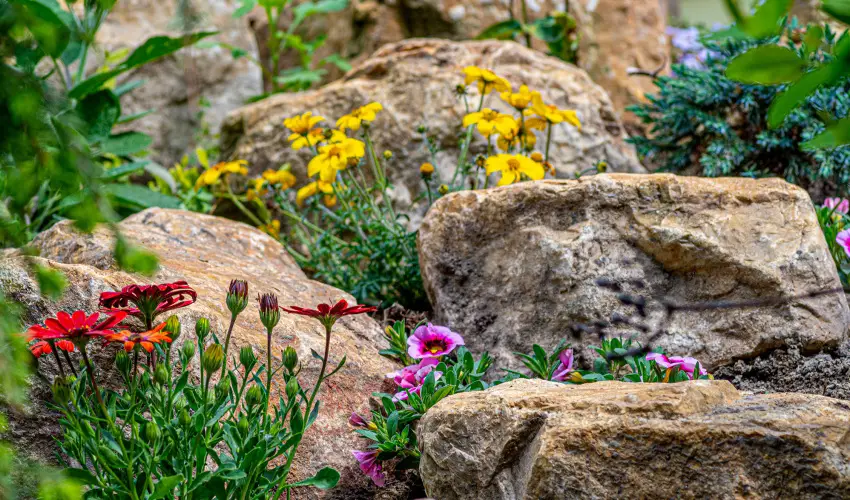 SunGarden Wellness Hotel Sifok - Egy jszaks wellness kaland (1 jszaka)