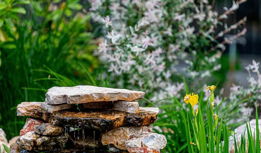 SunGarden Wellness Hotel Sifok - Egy jszaks wellness kaland (1 jszaka)