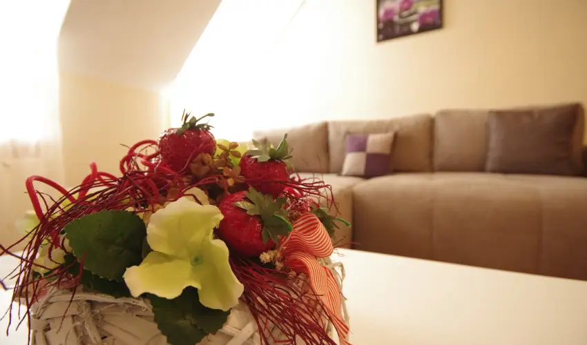 Szamcs Apartman Gyula - Kedvez ajnlat (min. 2 j)