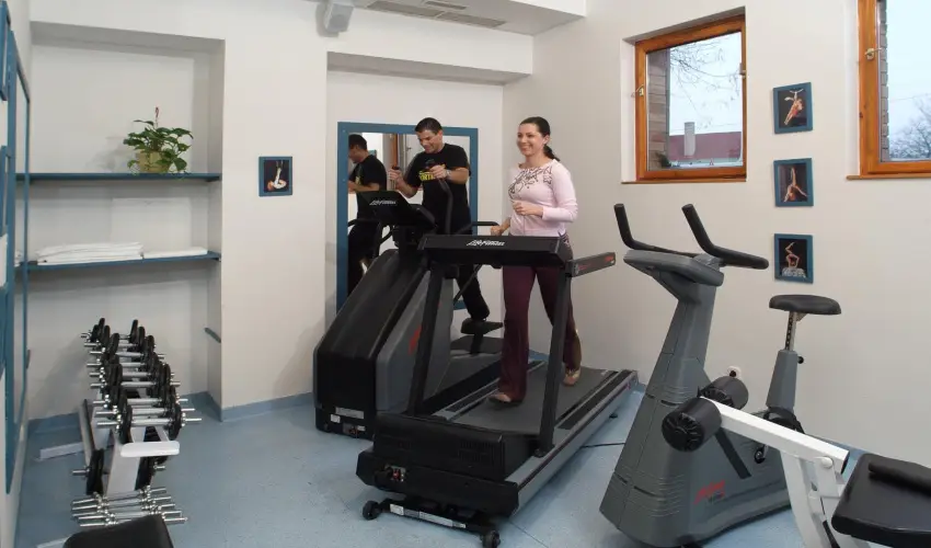 Szrcsa Hotel Szkesfehrvr - Kedvezmnyes r csaldok rszreak flpanzival (1 jtl)