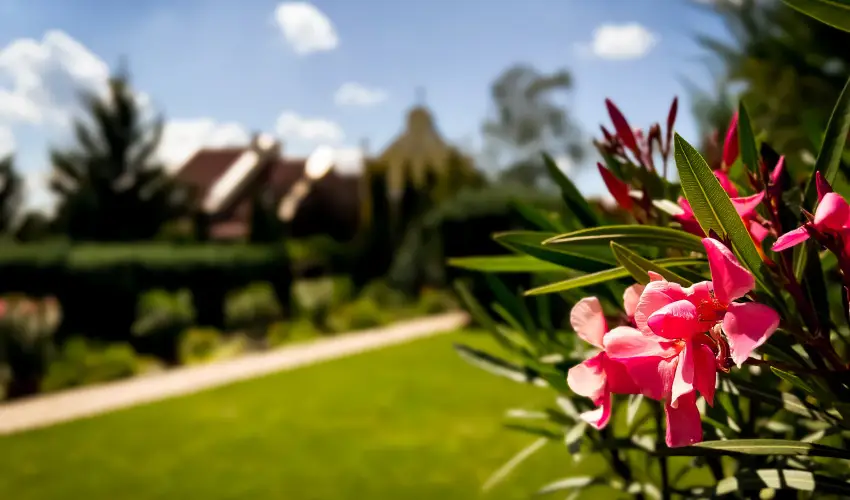 Szent István Hotel Eger - Kedvezményes ár családok részéreak reggelis ellátással (1 éjtől)