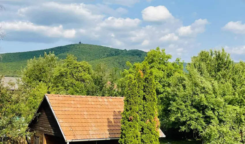 Szilv�sv�rad Camping & Apartman Szilv�sv�rad - Kedvezm�nyes �r csal�dok r�sz�reak (1 �jt�l)