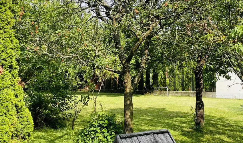 Szilv�sv�rad Camping & Apartman Szilv�sv�rad - Kedvezm�nyes �r csal�dok r�sz�reak (1 �jt�l)