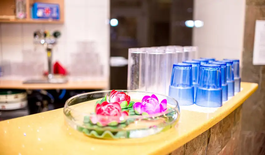 Wellness Hotel Szindbd  Balatonszemes - Mjus 1.