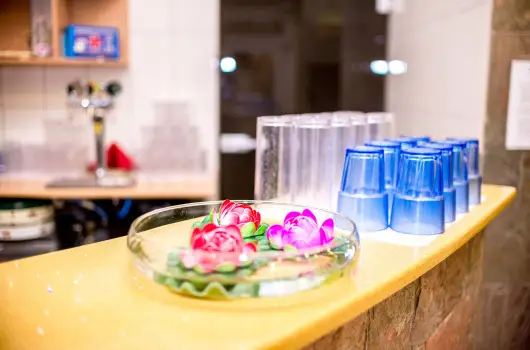 Wellness Hotel Szindb�d - Farsangi h�tv�ge (1 �jt�l)