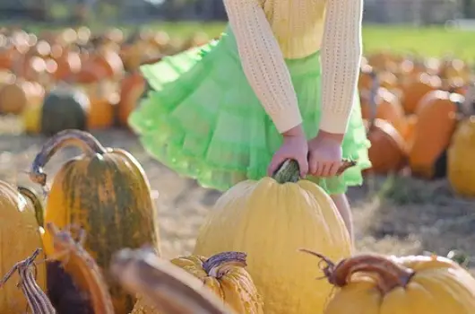 Thermal Hotel Balance, Lenti