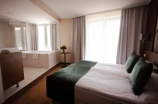 Thermal Hotel Visegrd - Standard r (1 jtl)