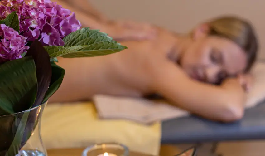 Thermal Hotel Visegrd Visegrd - Tavaszi sznet 2026 (min. 2 j)