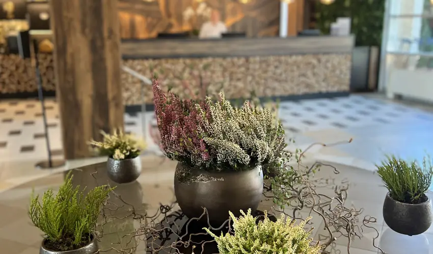 Thermal Hotel Visegrd Visegrd - Tavaszi sznet 2026 (min. 2 j)