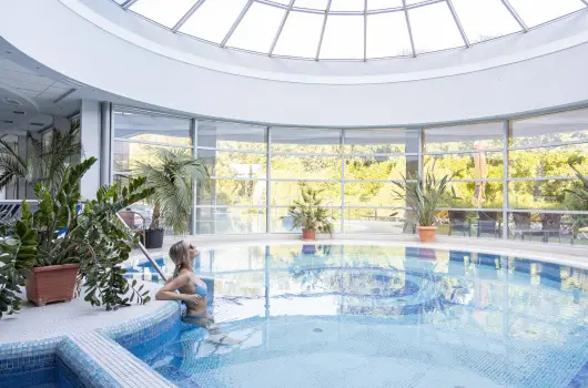 Thermal Hotel Visegr�d - Legjobb �r teljes el�refizet�ssel (min. 4 �j)