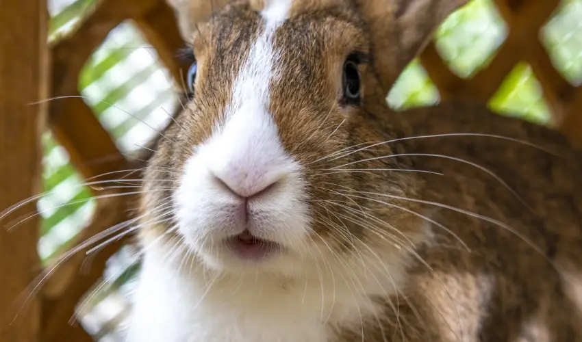 Terml Apartmanok & Kemping Harkny Harkny - Kedvezmnyes r csaldok rszreak (1 jtl)