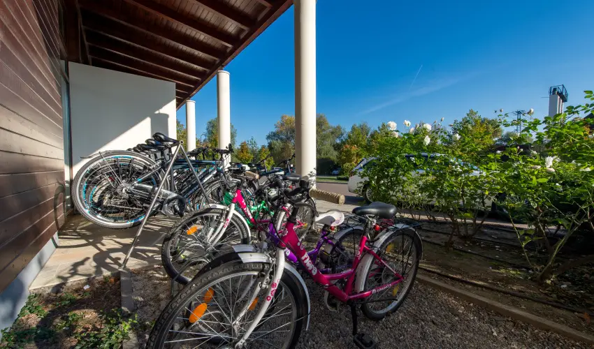 Tisza Balneum Hotel Tiszaf�red - T�li sz�net (min. 2 �j)